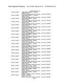 Bacterial Artificial Chromosome Containing Feline Herpes Virus Type 1 Genome and Uses Thereof diagram and image