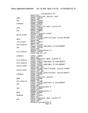 Bacterial Artificial Chromosome Containing Feline Herpes Virus Type 1 Genome and Uses Thereof diagram and image