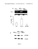 Inhibition of HIV and SHIV Replication with Antisense Interleukin-4 diagram and image