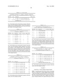 Ii-KEY/ANTIGENIC EPITOPE HYBRID PEPTIDE VACCINES diagram and image