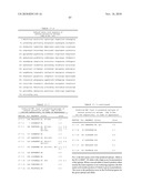 Ii-KEY/ANTIGENIC EPITOPE HYBRID PEPTIDE VACCINES diagram and image