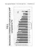 RECOMBINANT RSV ANTIGENS diagram and image