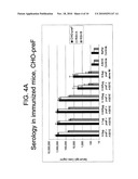 RECOMBINANT RSV ANTIGENS diagram and image