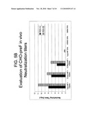 RECOMBINANT RSV ANTIGENS diagram and image