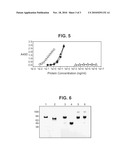 CHEMICALLY MODIFIED PEPTIDES WITH IMPROVED IMMUNOGENICITY diagram and image