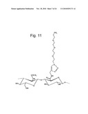 HYALURONIC ACID DERIVATIVES OBTAINED VIA  CLICK CHEMISTRY  CROSSLINKING diagram and image