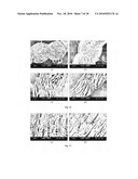 MANUFACTURING THREE-DIMENSIONAL SCAFFOLDS USING CRYOGENIC PROTOTYPING diagram and image