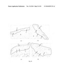 MANUFACTURING THREE-DIMENSIONAL SCAFFOLDS USING CRYOGENIC PROTOTYPING diagram and image