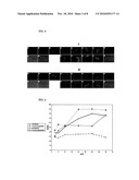 PREVENTION OF STAPHYLOCOCCUS BIOFILM FORMATION diagram and image