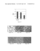 Multi-phased, biodegradable and osteointegrative composite scaffold for biological fixation of musculoskeletal soft tissue of bone diagram and image