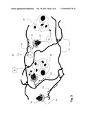 COMPOSITE BIOMATERIAL FOR CONTROLLED RELEASE OF ACTIVE INGREDIENTS diagram and image