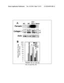 Periostin Inhibitory Compositions for Myocardial Regeneration, Methods of Delivery, and Methods of Using Same diagram and image