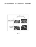 Periostin Inhibitory Compositions for Myocardial Regeneration, Methods of Delivery, and Methods of Using Same diagram and image