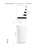 METHOD FOR PRODUCING A MEMBRANE PROTEIN diagram and image