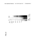 METHOD FOR PRODUCING A MEMBRANE PROTEIN diagram and image