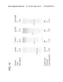 METHOD FOR PRODUCING A MEMBRANE PROTEIN diagram and image