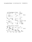 Immunogenic compositions comprising progastrin and uses thereof diagram and image