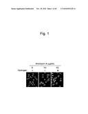 SCAVENGER OF IN VIVO HARMFUL REACTIVE OXYGEN SPECIES AND/OR FREE RADICALS diagram and image