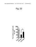 SCAVENGER OF IN VIVO HARMFUL REACTIVE OXYGEN SPECIES AND/OR FREE RADICALS diagram and image