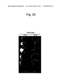 SCAVENGER OF IN VIVO HARMFUL REACTIVE OXYGEN SPECIES AND/OR FREE RADICALS diagram and image