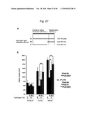 SCAVENGER OF IN VIVO HARMFUL REACTIVE OXYGEN SPECIES AND/OR FREE RADICALS diagram and image