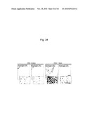 SCAVENGER OF IN VIVO HARMFUL REACTIVE OXYGEN SPECIES AND/OR FREE RADICALS diagram and image