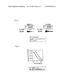 ANTAGONIST AGAINST TOLERANCE TO ANTICANCER DRUGS diagram and image