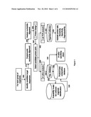 COMPOSITIONS FOR USE IN IDENTIFICATION OF STRAINS OF HEPATITIS C VIRUS diagram and image