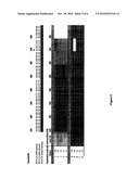 COMPOSITIONS FOR USE IN IDENTIFICATION OF STRAINS OF HEPATITIS C VIRUS diagram and image