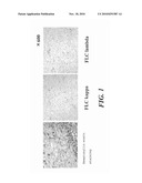 BIOMARKER FOR DIAGNOSING HEART DISEASE AND THE USE THEREOF diagram and image