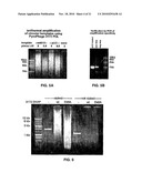 THERMOSTABLE DNA POLYMERASES AND METHODS OF USE diagram and image