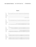 THERMOSTABLE DNA POLYMERASES AND METHODS OF USE diagram and image