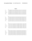 THERMOSTABLE DNA POLYMERASES AND METHODS OF USE diagram and image