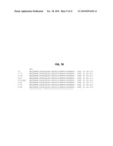 THERMOSTABLE DNA POLYMERASES AND METHODS OF USE diagram and image