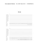 THERMOSTABLE DNA POLYMERASES AND METHODS OF USE diagram and image