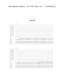 THERMOSTABLE DNA POLYMERASES AND METHODS OF USE diagram and image