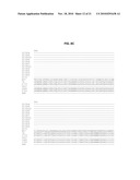 THERMOSTABLE DNA POLYMERASES AND METHODS OF USE diagram and image