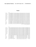 THERMOSTABLE DNA POLYMERASES AND METHODS OF USE diagram and image