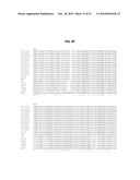 THERMOSTABLE DNA POLYMERASES AND METHODS OF USE diagram and image