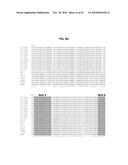 THERMOSTABLE DNA POLYMERASES AND METHODS OF USE diagram and image