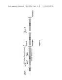 Microorganisms Having Enhanced Resistance To Acetate And Related Compositions And Methods of Use diagram and image