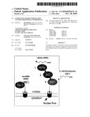 ALTERNATIVE EXPORT PATHWAYS FOR VECTOR EXPRESSED RNA INTERFERENCE diagram and image