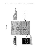 ALTERNATIVE EXPORT PATHWAYS FOR VECTOR EXPRESSED RNA INTERFERENCE diagram and image