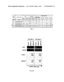 REDUCER OF IMMUNOSUPPRESSION BY TUMOR CELL AND ANTITUMOR AGENT USING THE SAME diagram and image