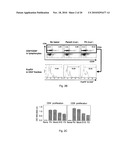 REDUCER OF IMMUNOSUPPRESSION BY TUMOR CELL AND ANTITUMOR AGENT USING THE SAME diagram and image