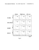 REDUCER OF IMMUNOSUPPRESSION BY TUMOR CELL AND ANTITUMOR AGENT USING THE SAME diagram and image