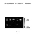 Multiplexed Scanometric Assay for Target Molecules diagram and image