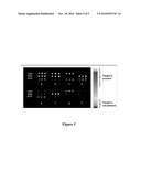 Multiplexed Scanometric Assay for Target Molecules diagram and image