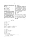 TRUNCATED GLP-1 DERIVATIES AND THEIR THERAPEUTICAL USE diagram and image