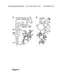 Antibiotics and Methods For Producing Them diagram and image